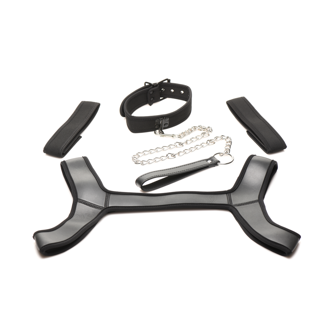 Puppy-Play-Set Arsenal Schwarz Einheitsgröße
