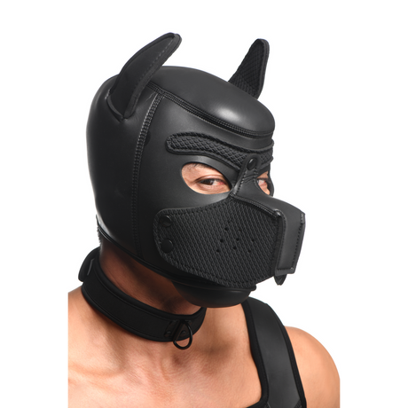 Puppy-Play-Set Arsenal Schwarz Einheitsgröße