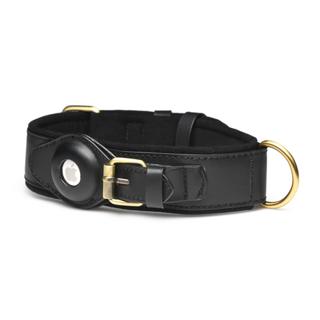 Halsband Tracer Schwarz 51,7 x Ø 2,4 cm