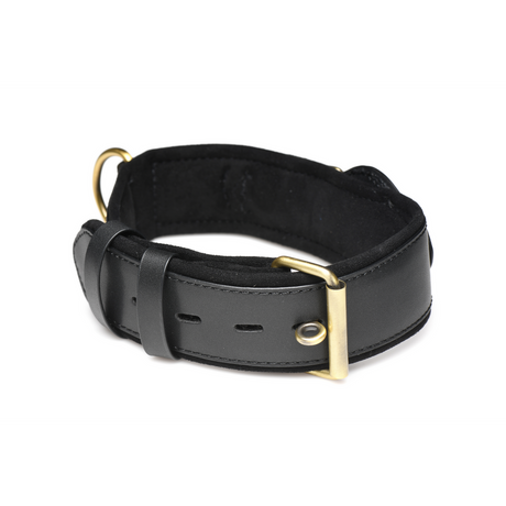 Halsband Tracer Schwarz 51,7 x Ø 2,4 cm