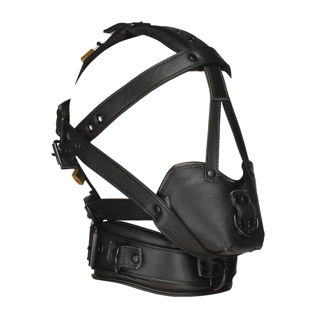 Kopf-Harness Leder mit Maulkorb Schwarz