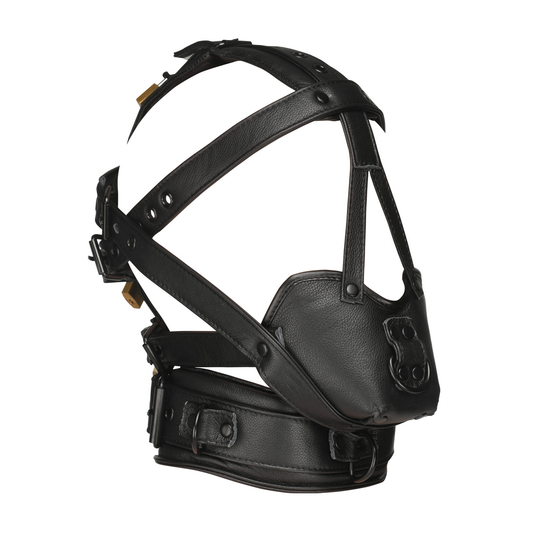 Kopf-Harness Leder mit Maulkorb Schwarz