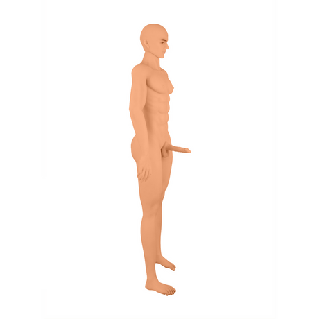 Liebespuppe Justin realistisch Hautfarbe (korrekte Körpergröße ergänzen, z. B. 160 cm)