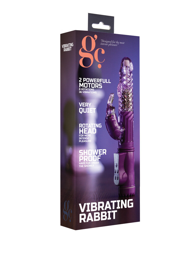 Rabbit-Vibrator Violett 22,5 x Ø 3,2 cm