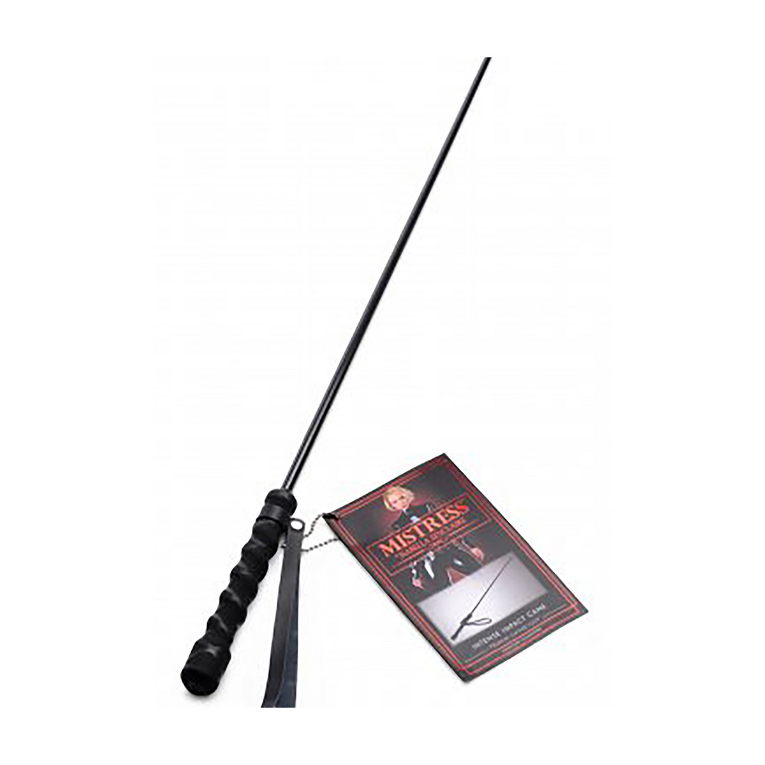 Peitsche Strike Stick Schwarz 62 cm