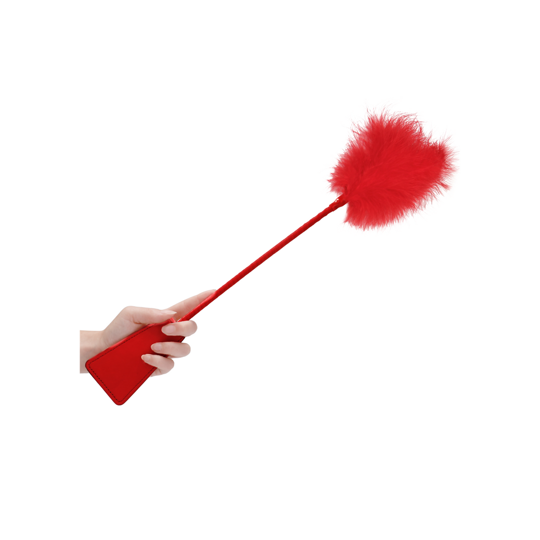 Gerte mit Federn Rot