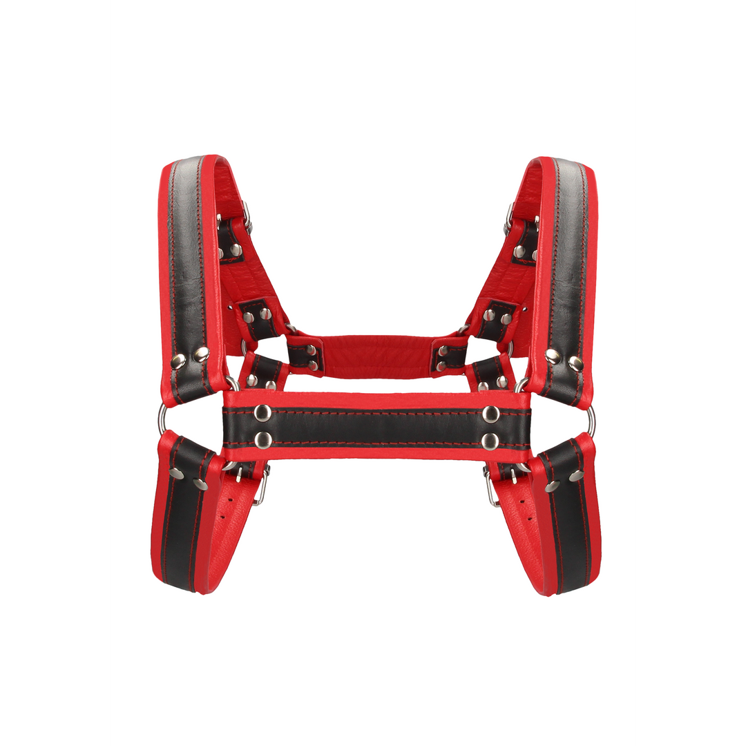 Harness Bulldog Leder mit Schnallen Rot L/XL