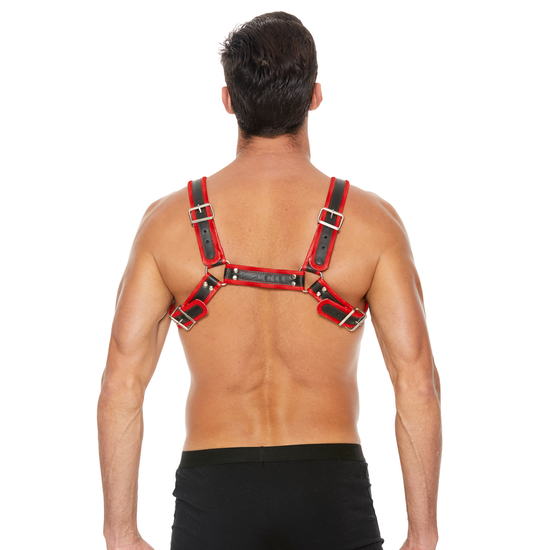 Harness Bulldog Leder mit Schnallen Rot L/XL