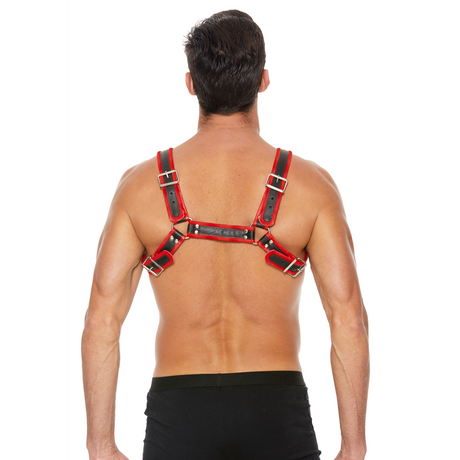 Harness Bulldog Leder mit Schnallen Rot L/XL