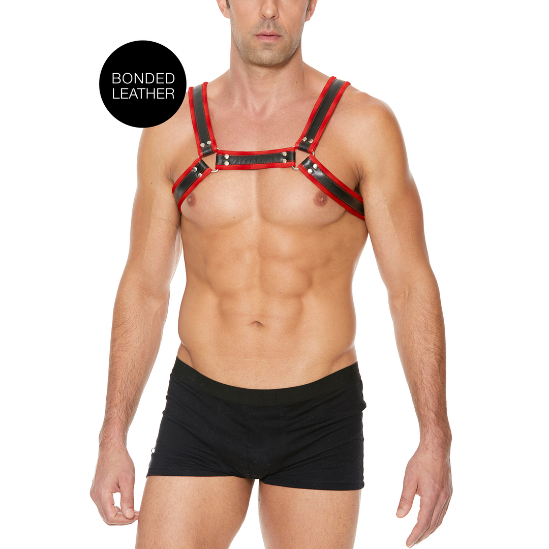 Harness Bulldog Leder mit Schnallen Rot L/XL