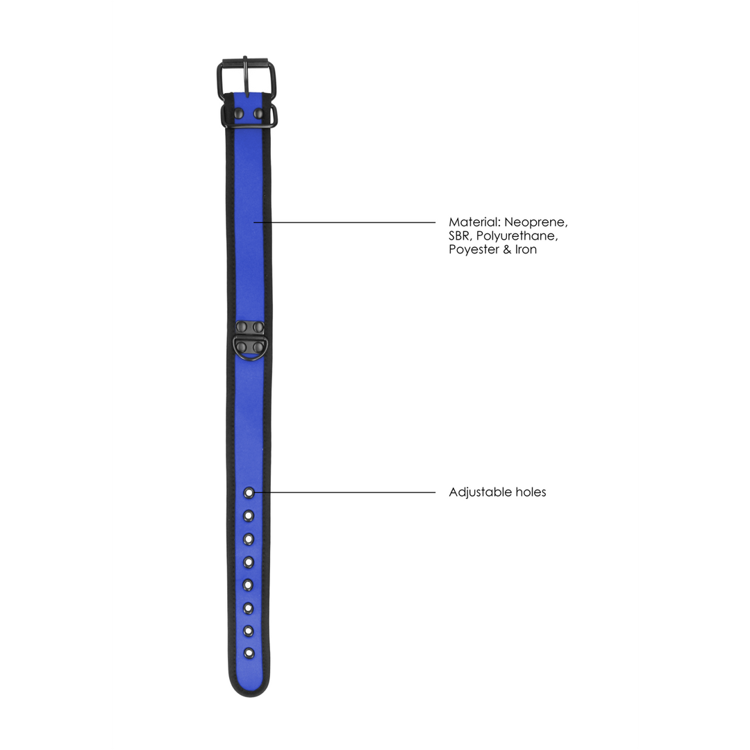 Halsband Neopren mit Leine Schwarz