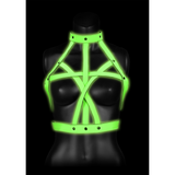 BH-Harness nachtleuchtend Grün L/XL
