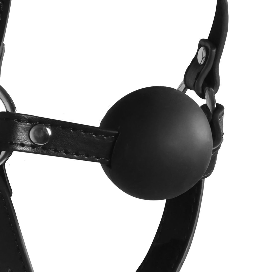 Kopfharness mit festem Ballknebel Schwarz 70 x Ø 4,2 cm
