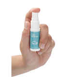 Toy-Reiniger antibakteriell fürs Auto 15 ml