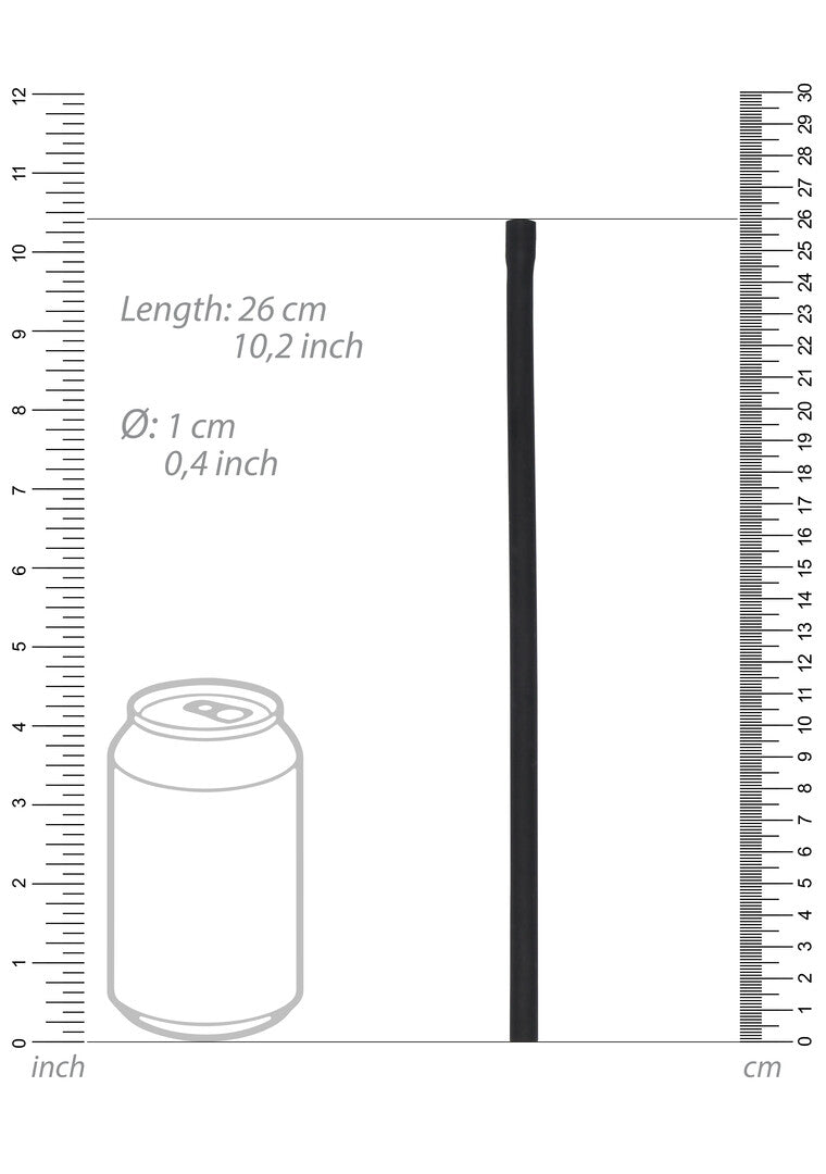 Penispumpe Elite für Anfänger Schwarz 20,5 x Ø 6 cm