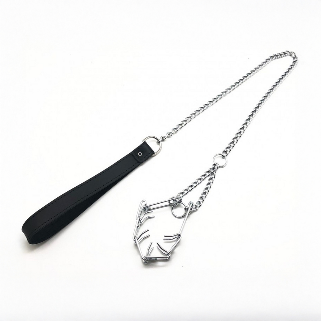 Leine mit Halsband für den Penis Schwarz/Silber
