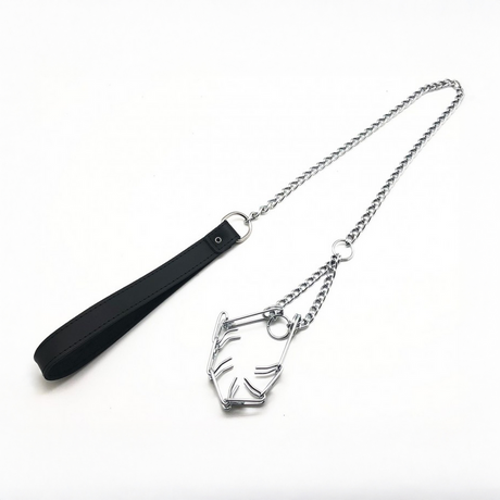 Leine mit Halsband für den Penis Schwarz/Silber
