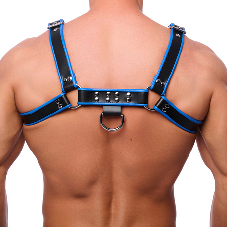 Harness Premium Leder Schwarz/Blau L/XL – Ansicht 2