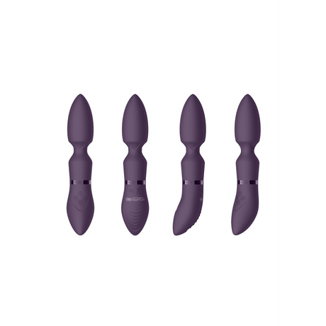Vibrator Vergnügungsset #4 mit verschiedenen Aufsätzen