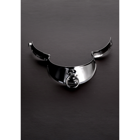 Halsband für Herren mit Verschluss Silber 16 cm