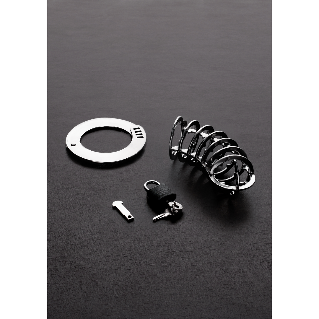 Peniskäfig mit Spikes Silber 9 x Ø 4,5 cm