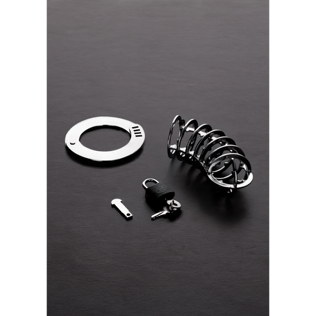Peniskäfig mit Spikes Silber 9 x Ø 4,5 cm