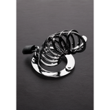 Peniskäfig mit Spikes Silber 9 x Ø 4,5 cm