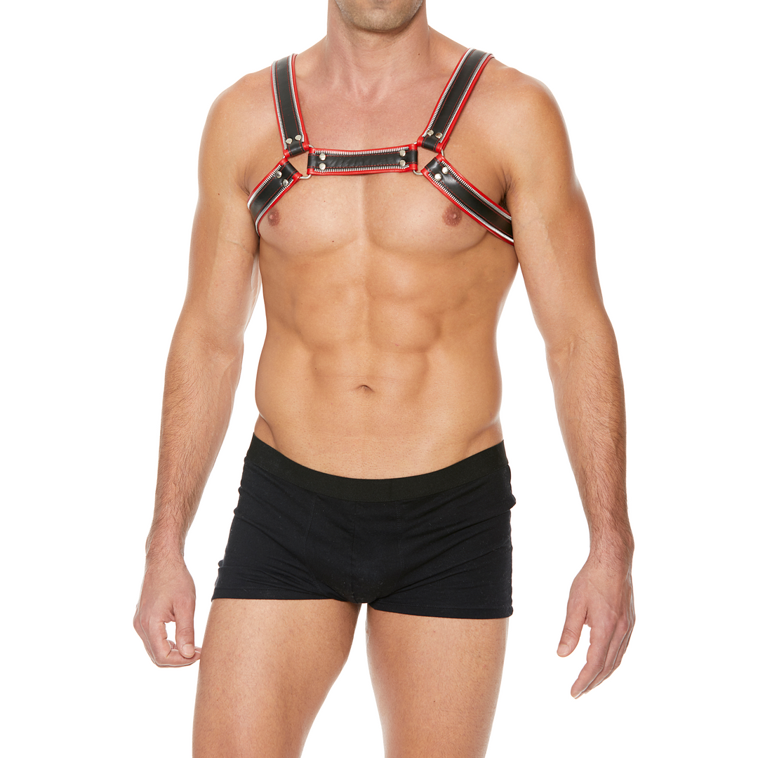 Harness Bulldogge für die Brust Rot L/XL