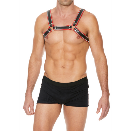 Harness Bulldogge für die Brust Rot L/XL – Ansicht 4