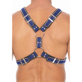 Harness im Schottland-Stil Blau