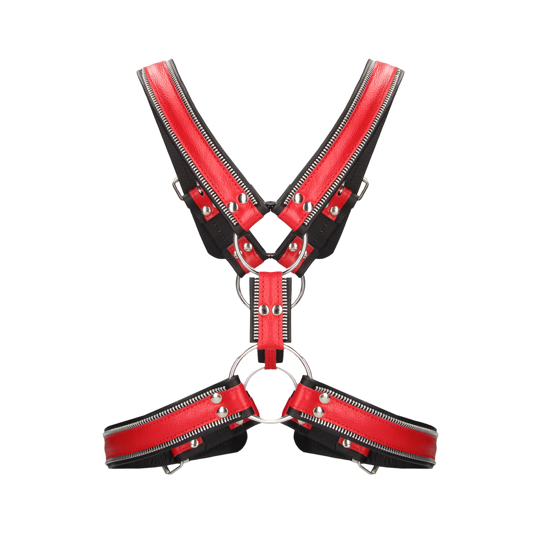 Harness im Schottland-Stil Blau