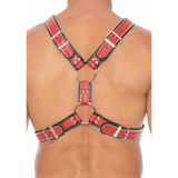 Harness im Schottland-Stil Blau