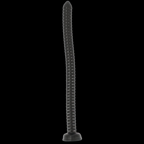 Analkette Barosaurus 46 x 3,2 cm
