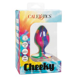 Analplug Cheeky Medium Tie-Dye Plug Anal 5 x 3,25 cm