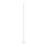 Dildo Analschlange Durchsichtig 100 x 3 cm