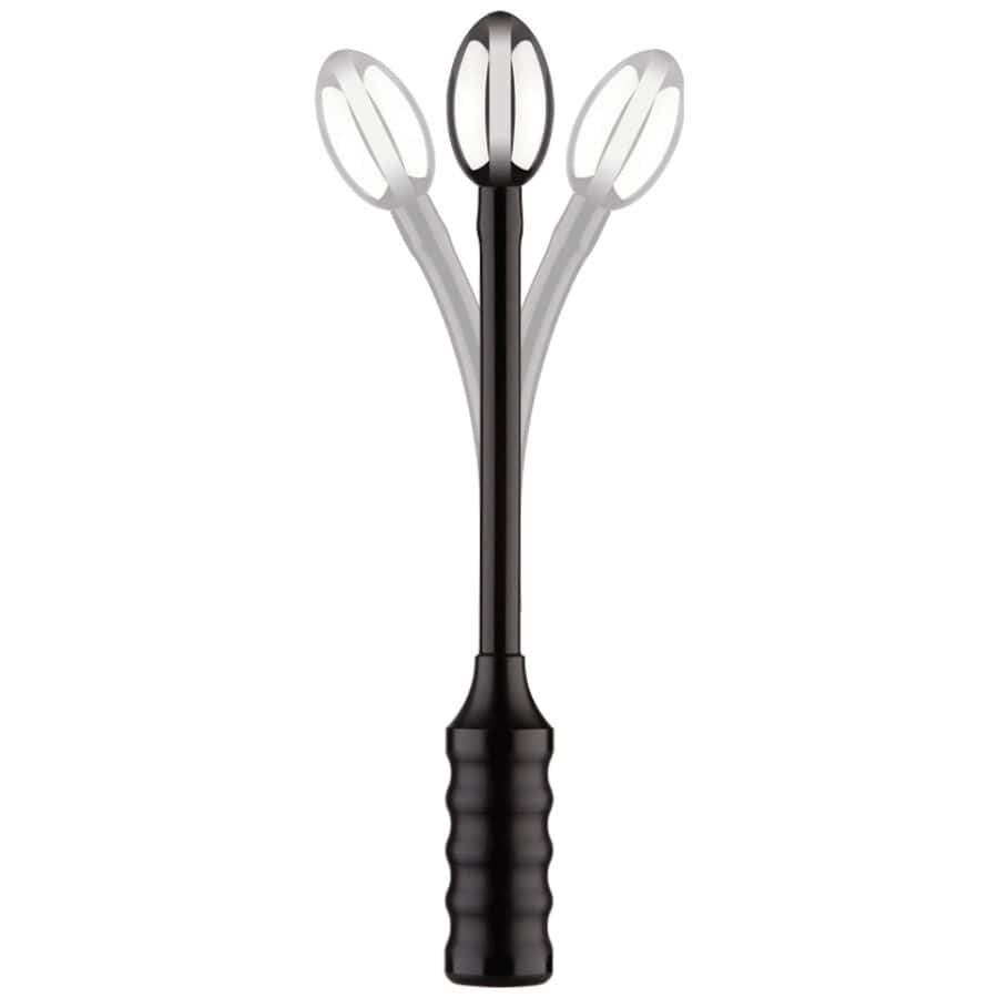 Fetisch-Toy Flexible Tiefenladungs-Elektrosonde.3