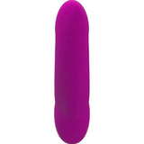 Doppeldildo Share Lite Blackberry 16,5 cm.2