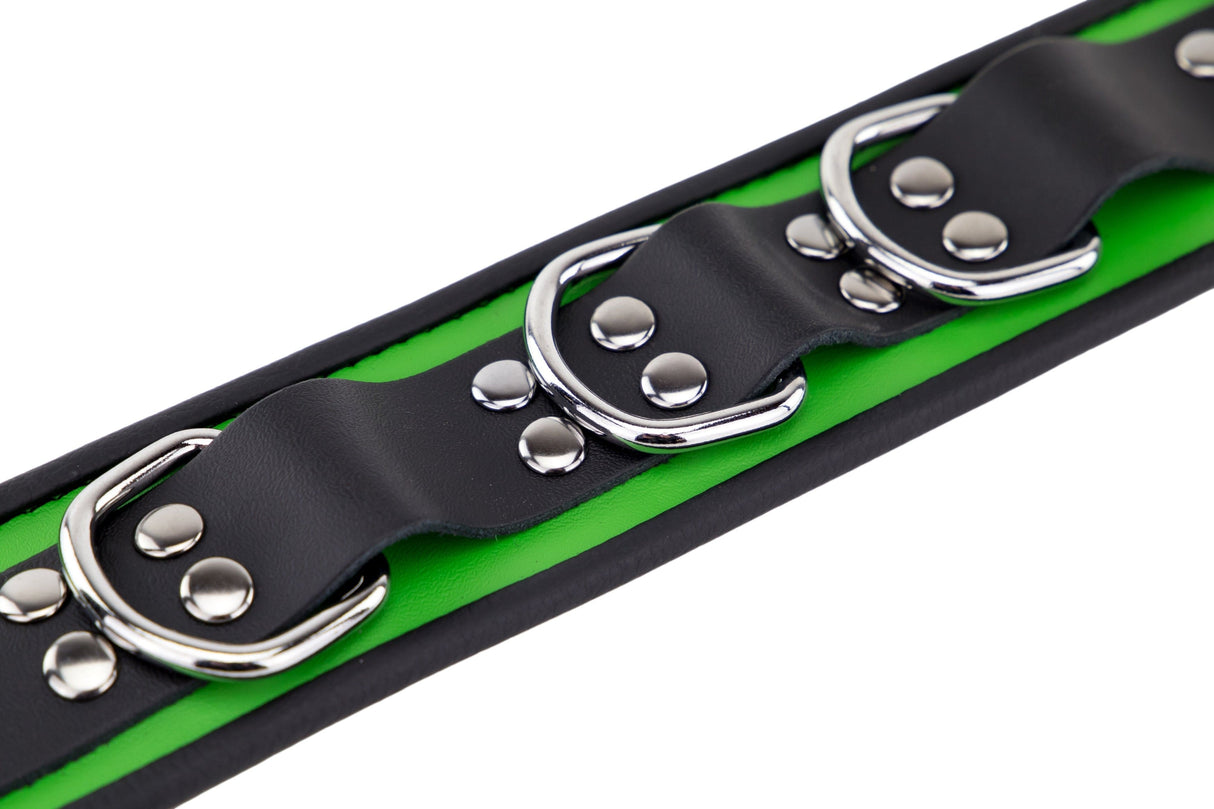 Halsband 3 D-Ring