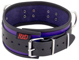 Halsband 3 D-Ring