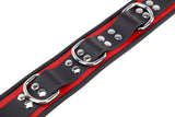 Halsband 3 D-Ring