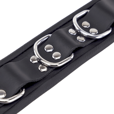 Halsband aus Leder gepolstert mit drei D-Ringen Schwarz – Ansicht 5