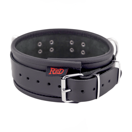 Halsband aus Leder gepolstert mit drei D-Ringen Schwarz – Ansicht 2