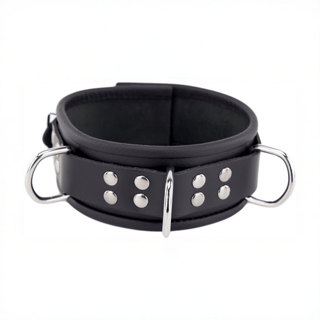 Halsband aus Leder gepolstert mit drei D-Ringen Schwarz