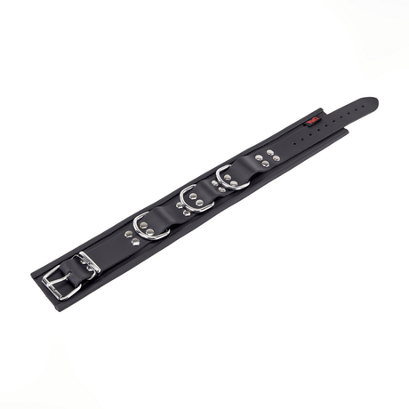 Halsband aus Leder gepolstert mit drei D-Ringen Schwarz – Ansicht 3