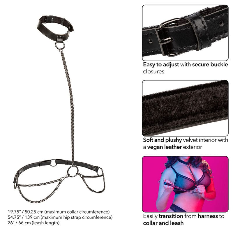 Halsband Euphoria Ketten-Halsband mit Leine Übergröße – Ansicht 5