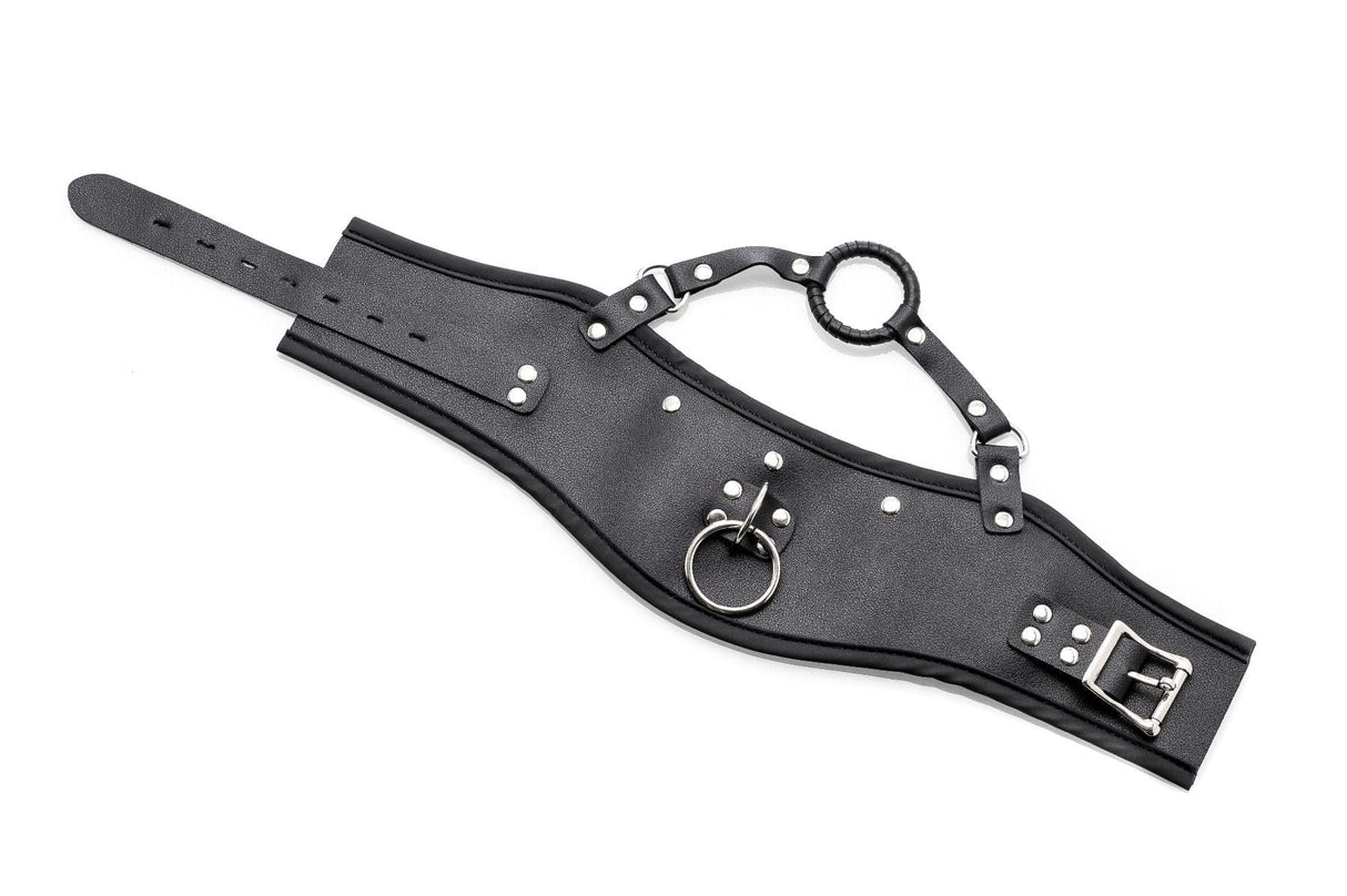 Halsband Mundknebel