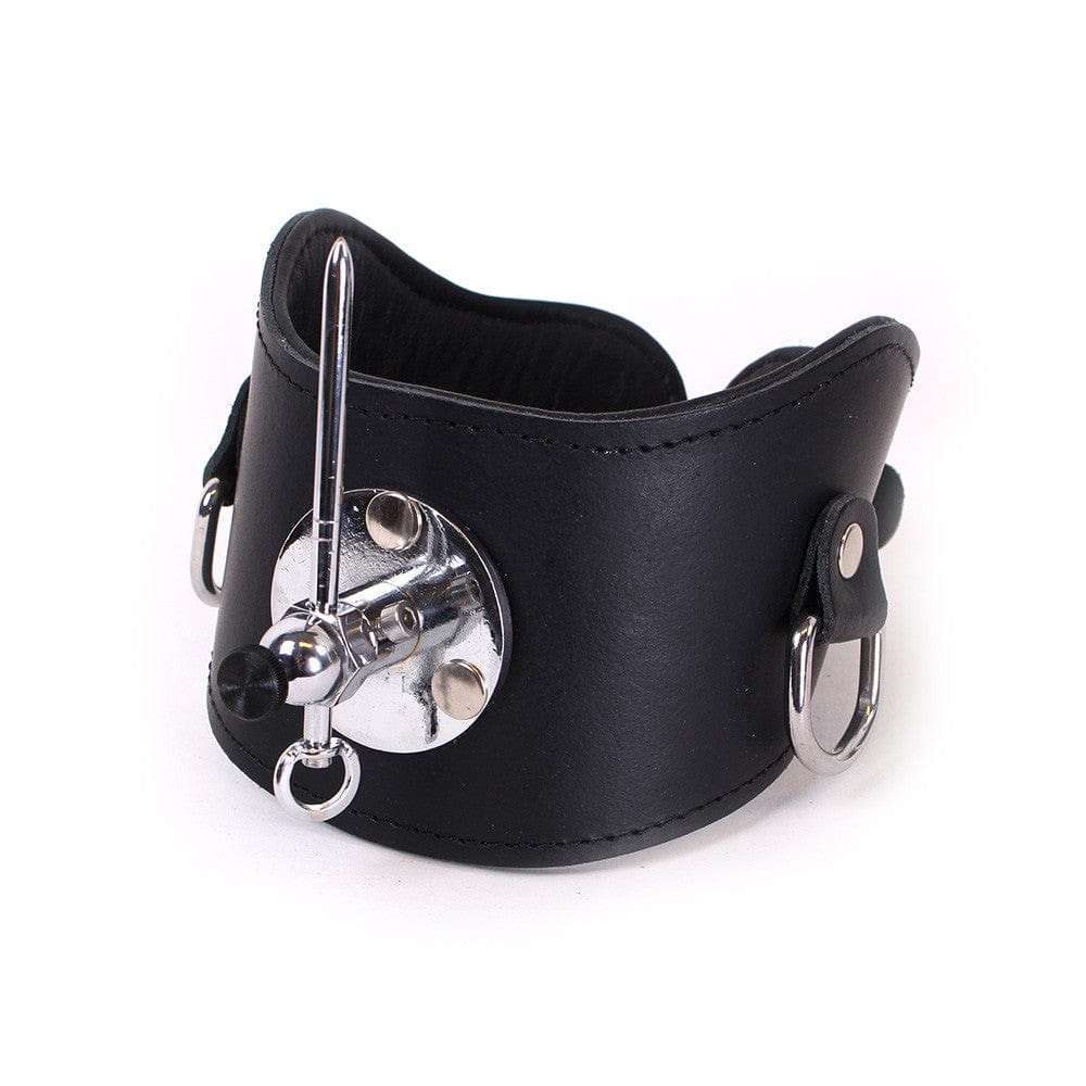 Halsband Pin