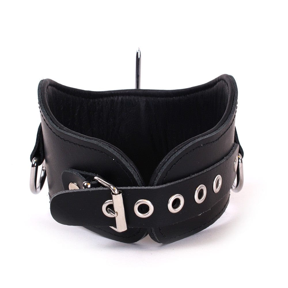 Halsband Pin