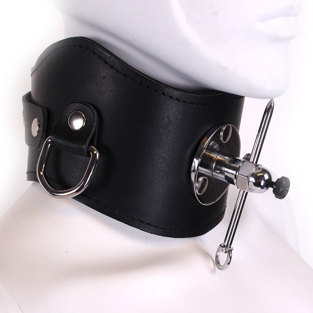 Halsband Pin