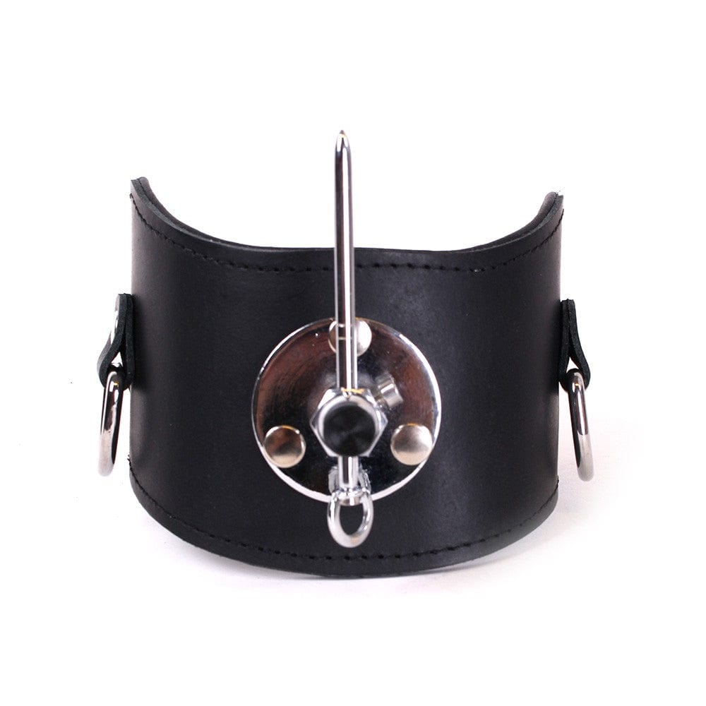 Halsband Pin